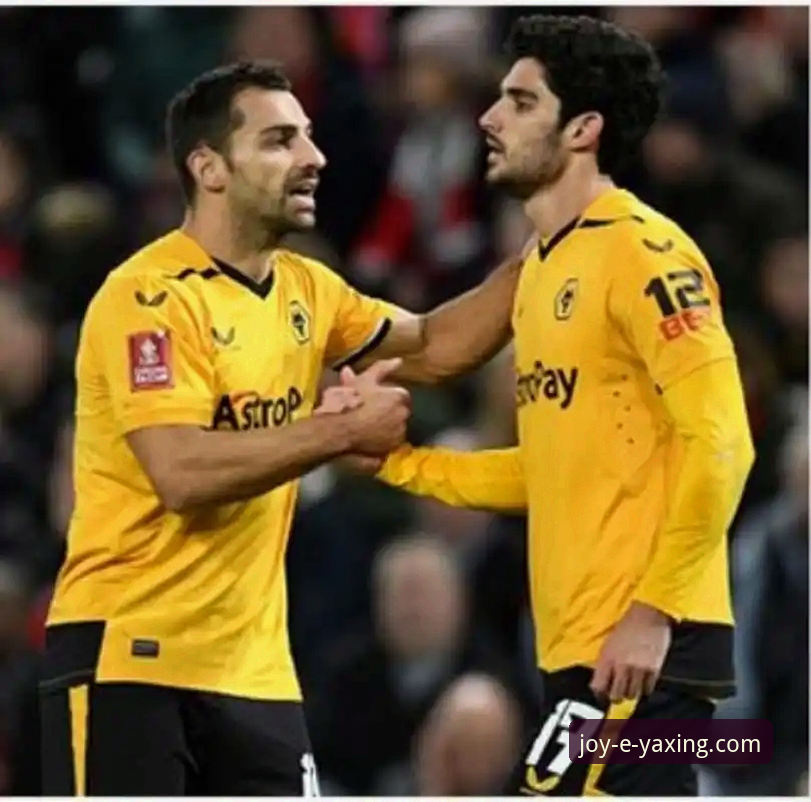 掌握赛事复盘技巧：亚星娱乐平台深度解析利物浦3-1狼队足总杯之战